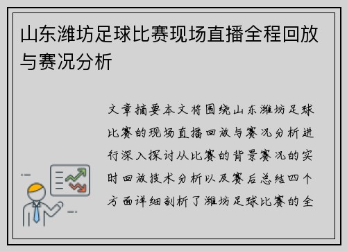 山东潍坊足球比赛现场直播全程回放与赛况分析